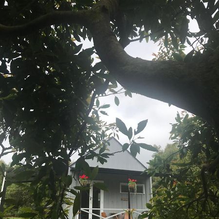Paradise Grove Whangamata Esterno foto