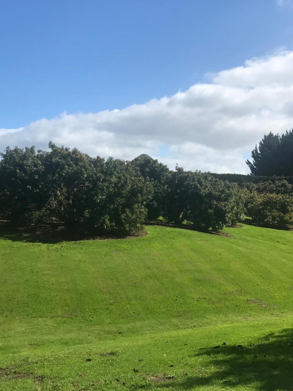 Paradise Grove Whangamata Esterno foto