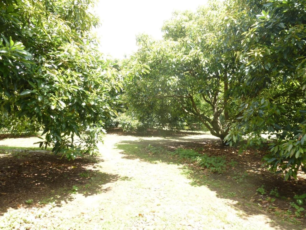Paradise Grove Whangamata Esterno foto